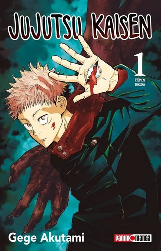 Manga Jujutsu Kaisen - Tomo 1 - Panini Argentina + Reg.
