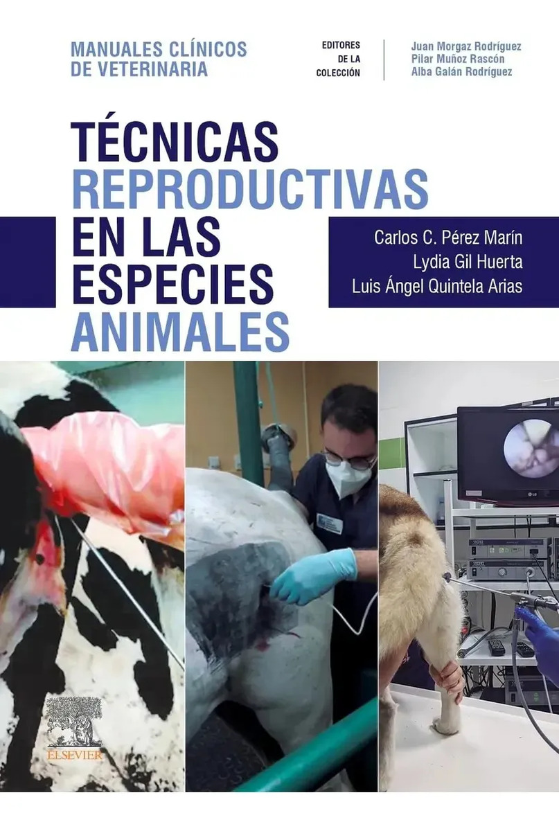 Técnicas Reproductivas Especies Animales Veterinaria Ganado