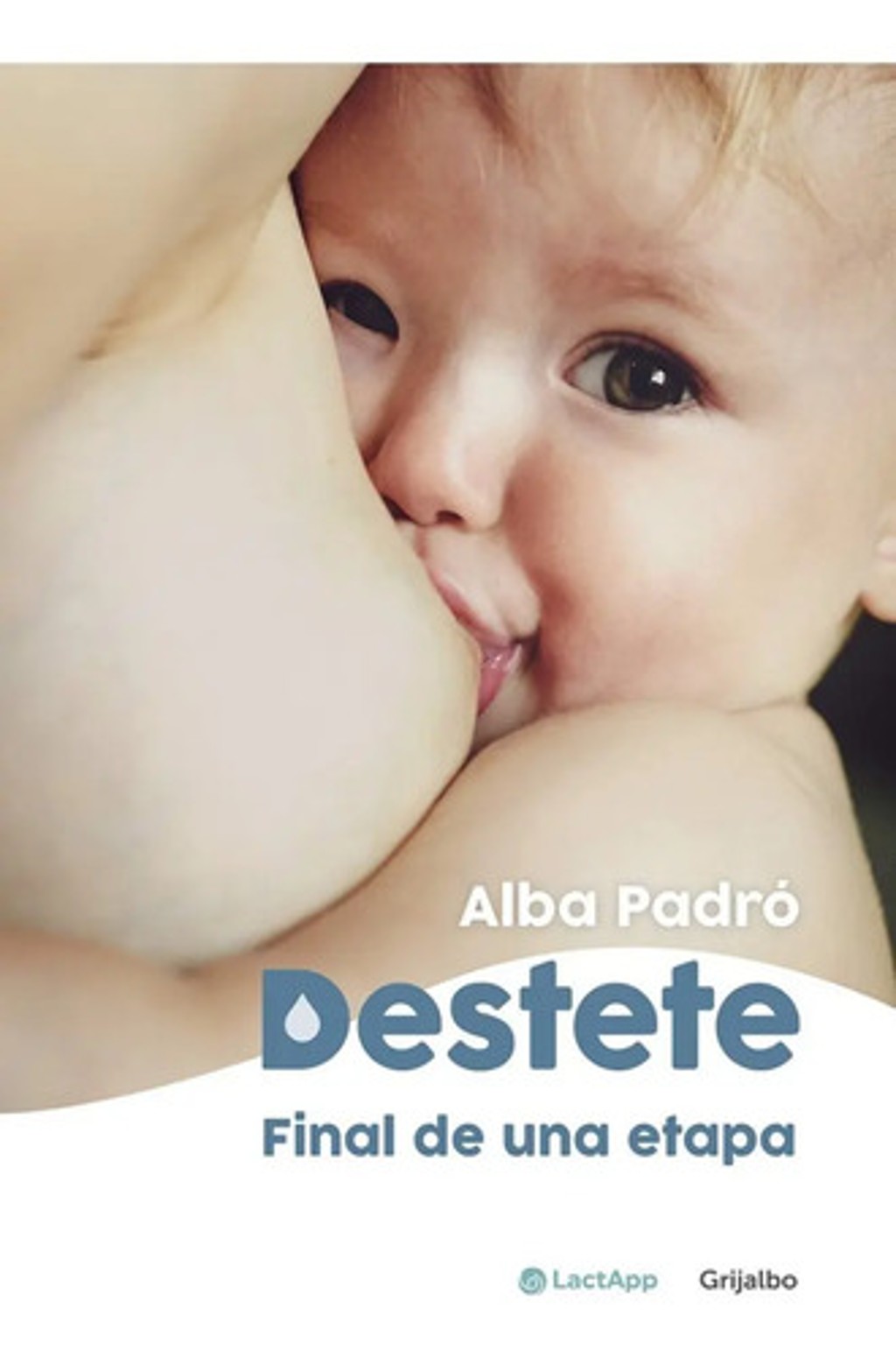Destete Final De Una Etapa, Lactancia Libro