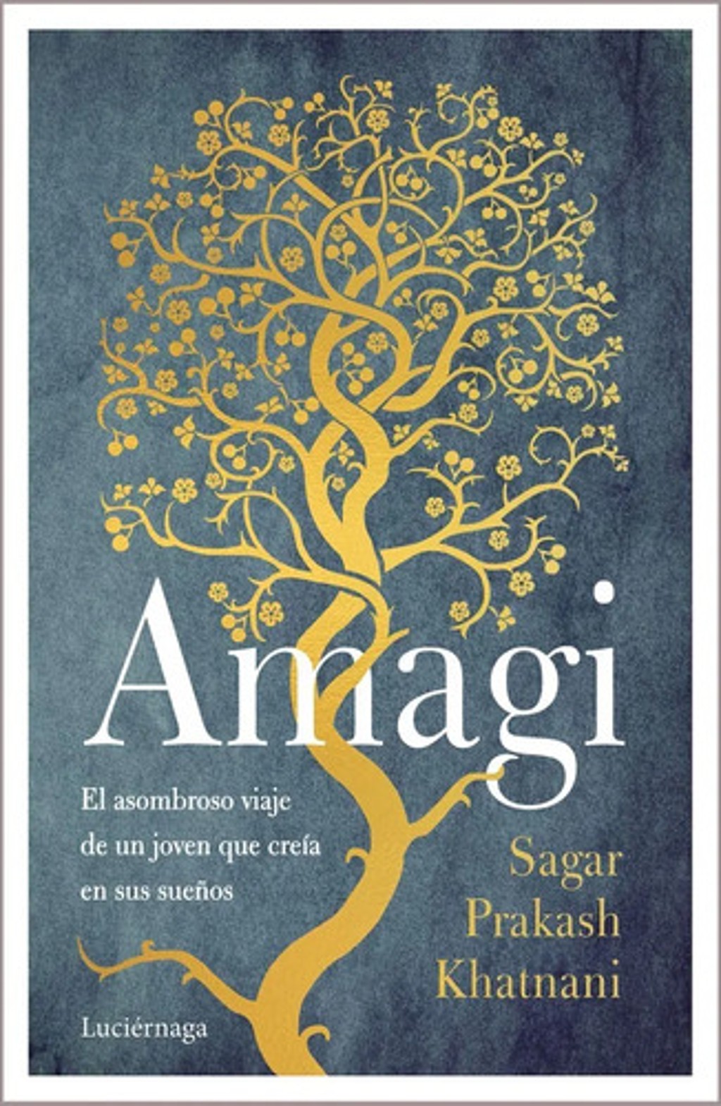 Libro - Amagi - Prakash Khatnani, Sagar