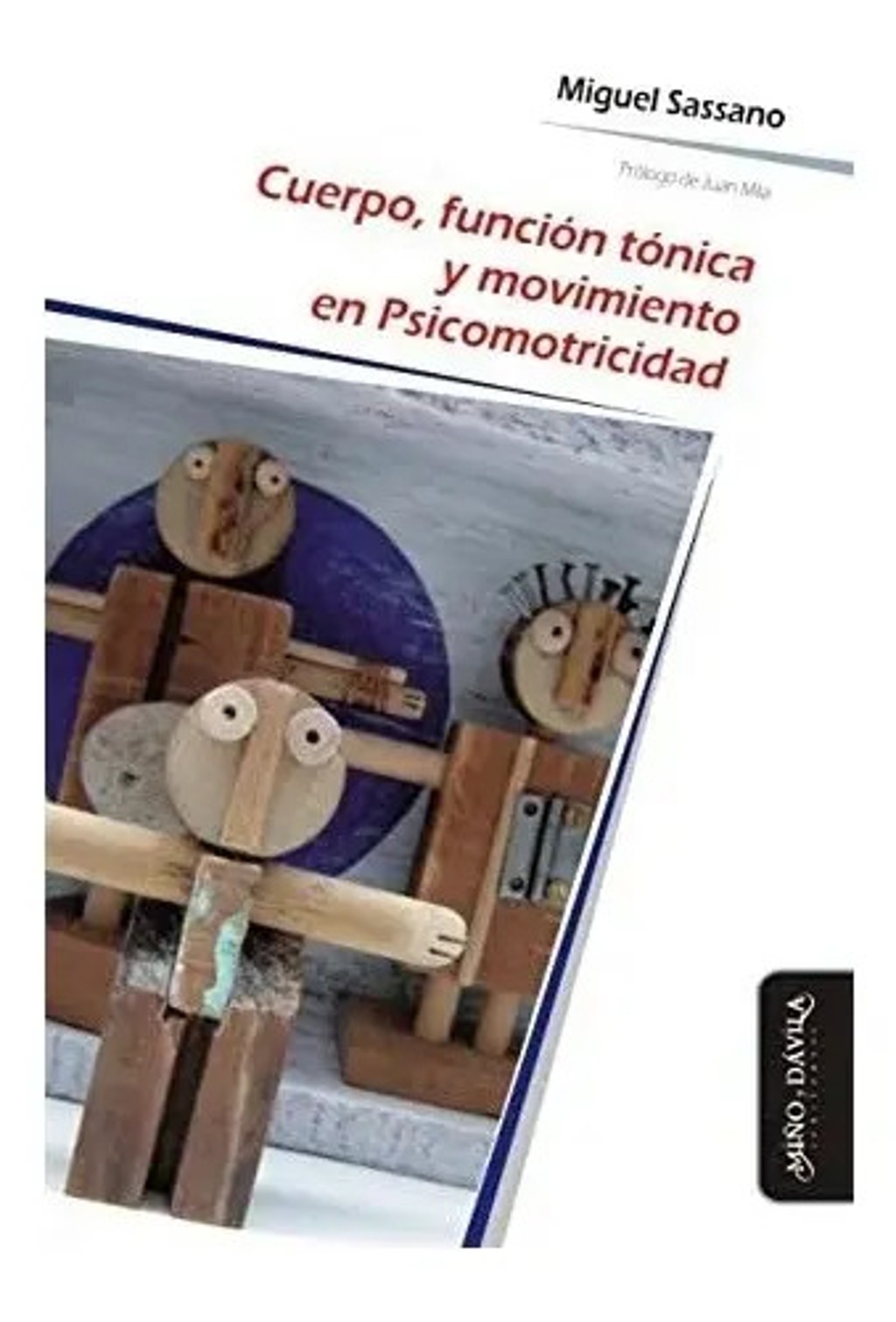 Cuerpo Función Tónica Movimiento Psicomotricidad Sassano