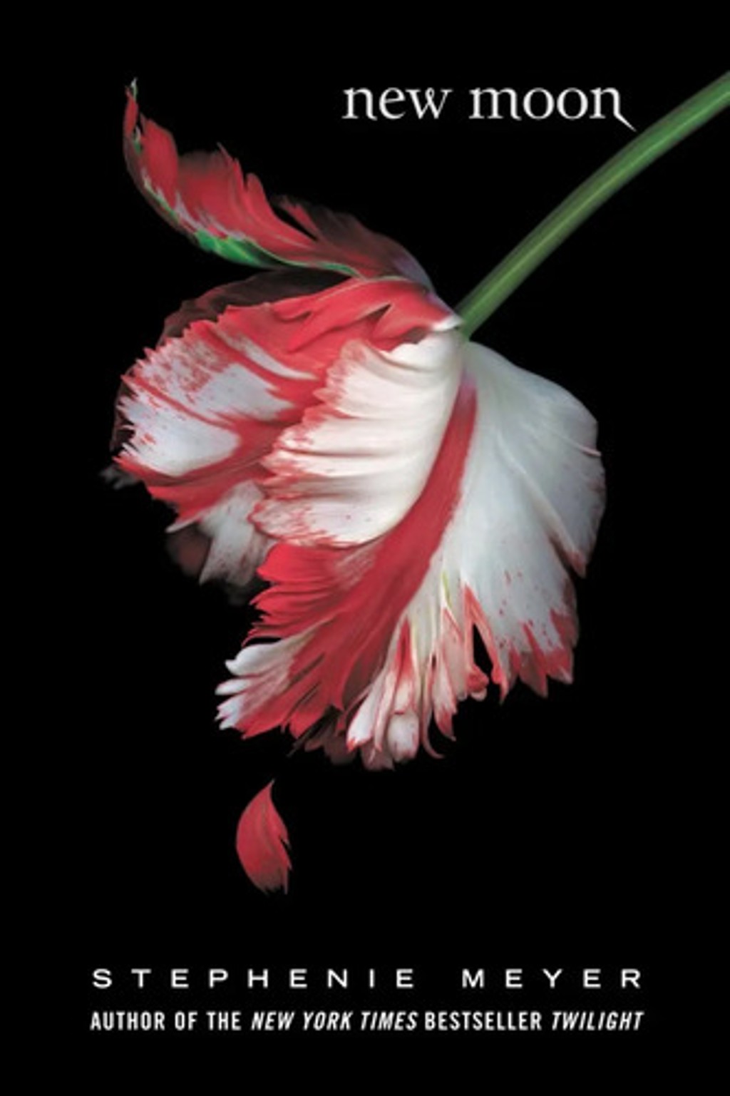 New Moon : Stephenie Meyer  Twilight Saga
