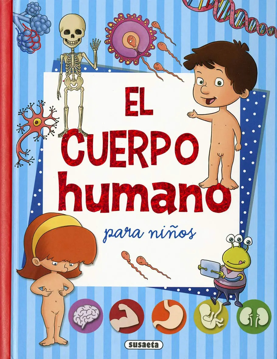 El Cuerpo Humano Equipo Susaeta Para Niños