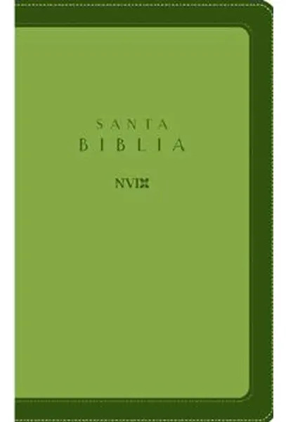 Biblia Nvi Ultrafina Tapa Piel Azul Nueva Versión