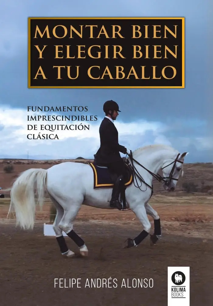 Fundamentos Caballo De Equitación Clásica