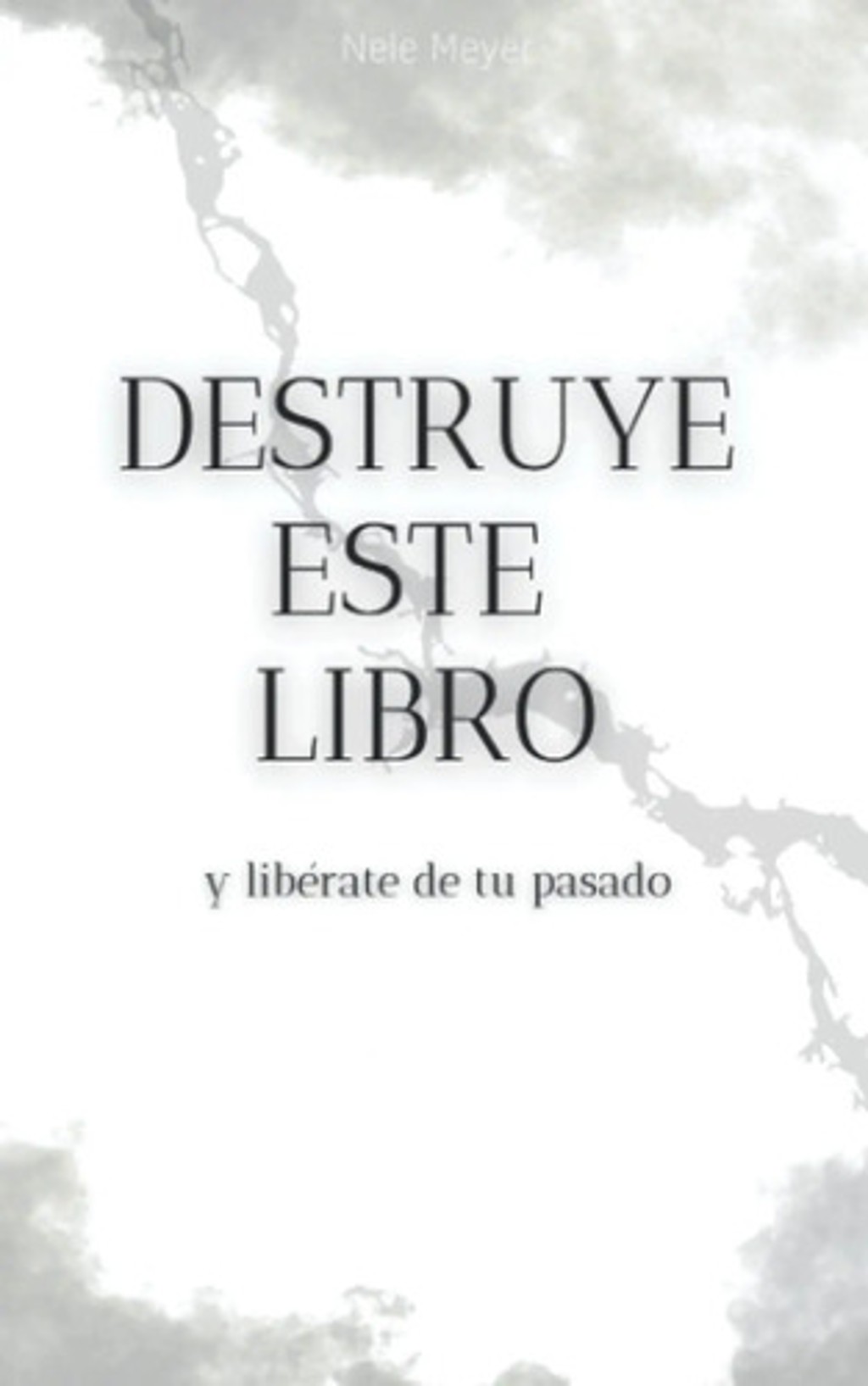 Destruye Este Libro Y Libérate De Tu Pasado