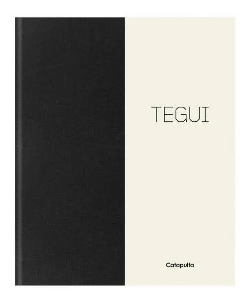 Tegui Con Apendice En Ingles - Martitegui - Catapulta Libro