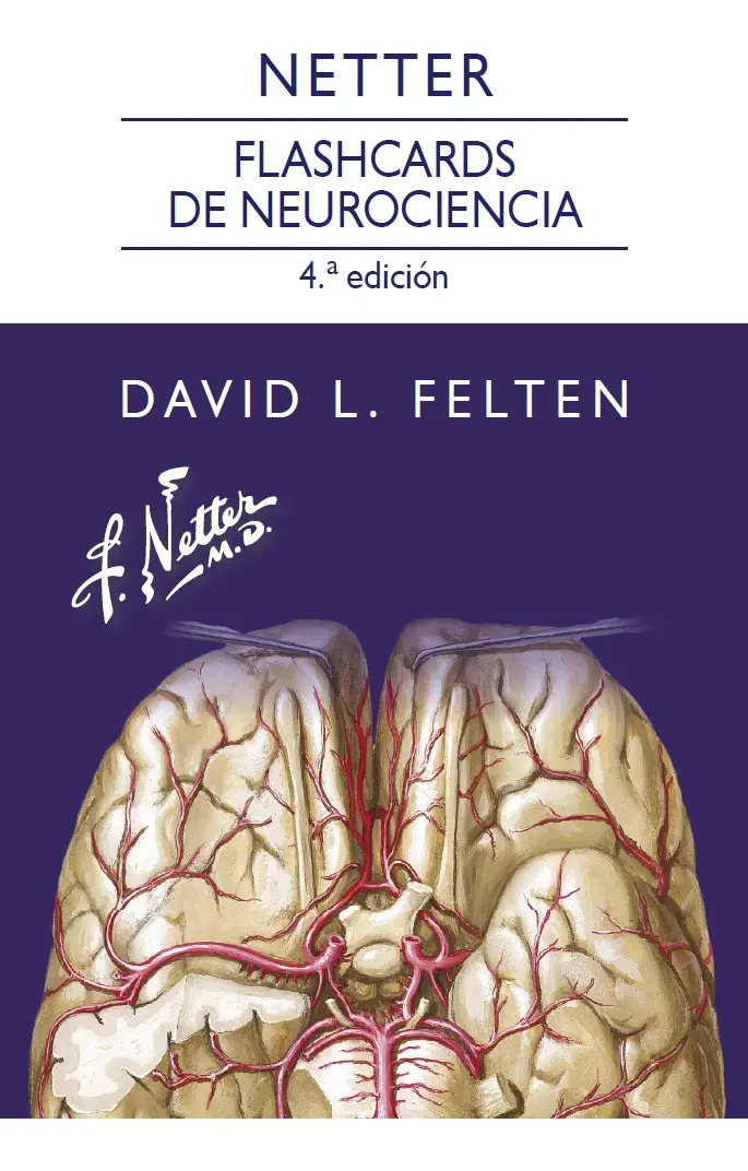 Netter. Flashcards De Neurociencia, 4.ª Edición