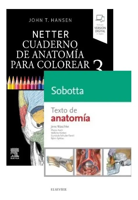 Lote Netter Cuaderno De Anatomía Colorear + Sobotta Anatomía