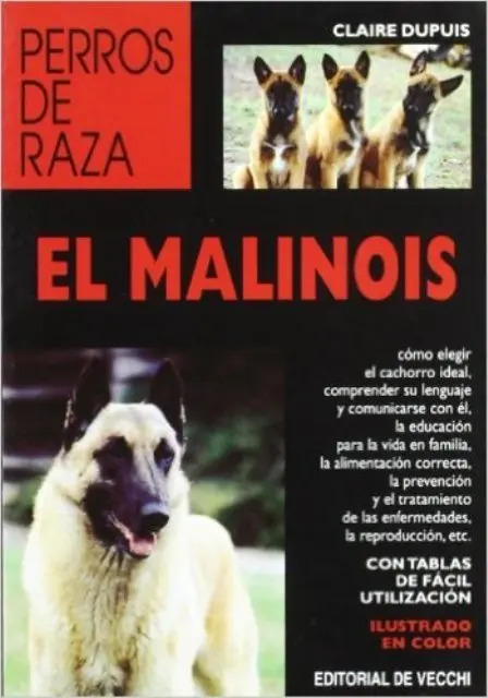 El Malinois Del Pastor Belga Perro Raza