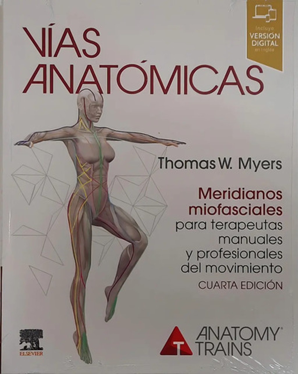 Myers Vías Anatómicas Novedad Envíos A Todo El País