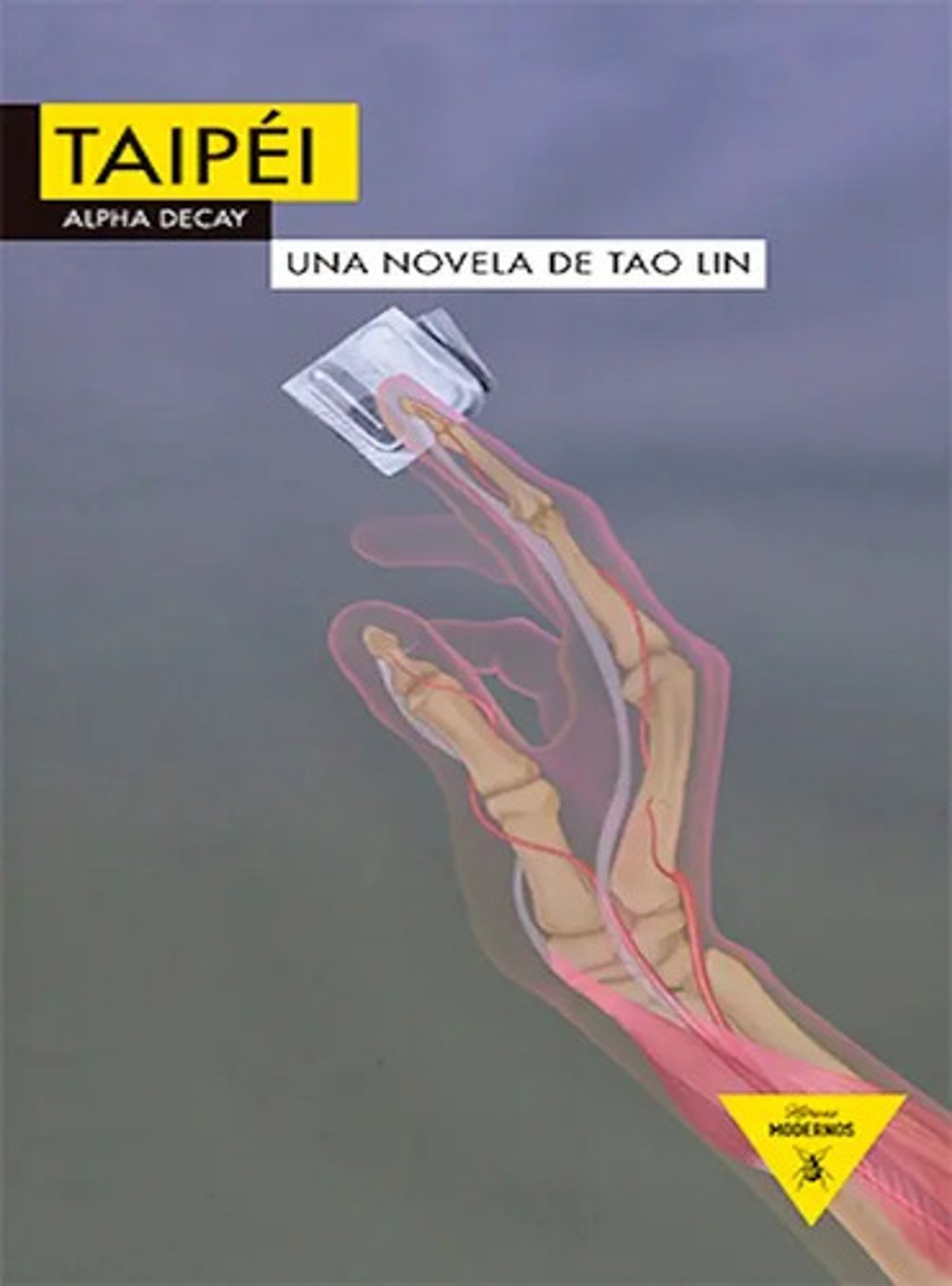 Taipéi Una Novela De Tao Lin