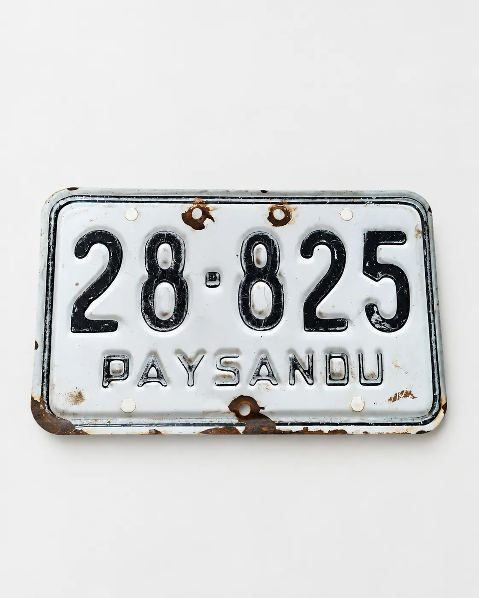 Matrícula Moto Paysandú 19.5x12cm Vintage - Número 28825