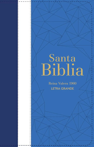 Biblia Rvr 1960 Letra Grande Con Cierre - Tricolor