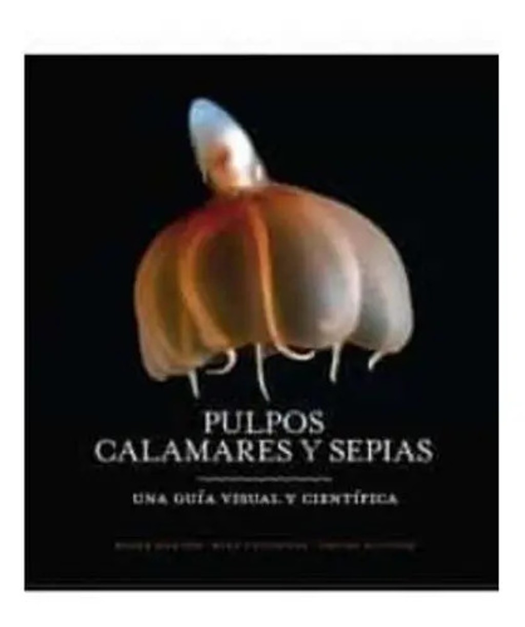 Pulpo, Calamares Y Sepias (una Guia Visula Cientifica