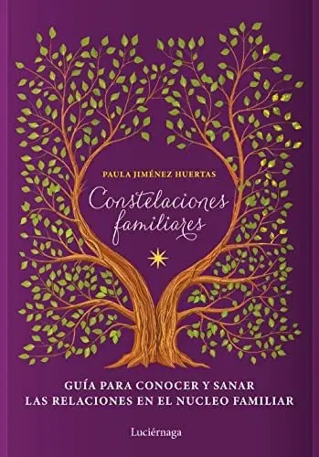 Constelaciones Familiares Libro + Cartas Hellinger Sistemica