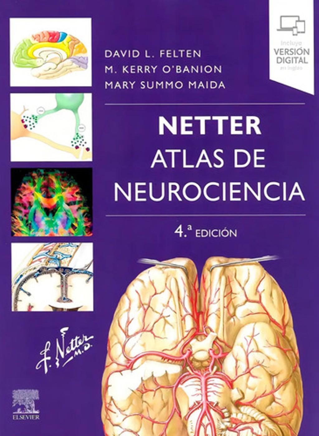Netter Atlas De Nuerociencia 4a Edición Medicina