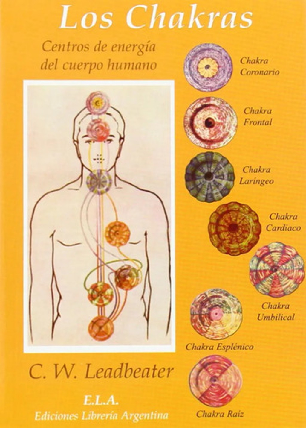 Los Chakras: Centros De Energía Cuerpo Humano  Leadbeater