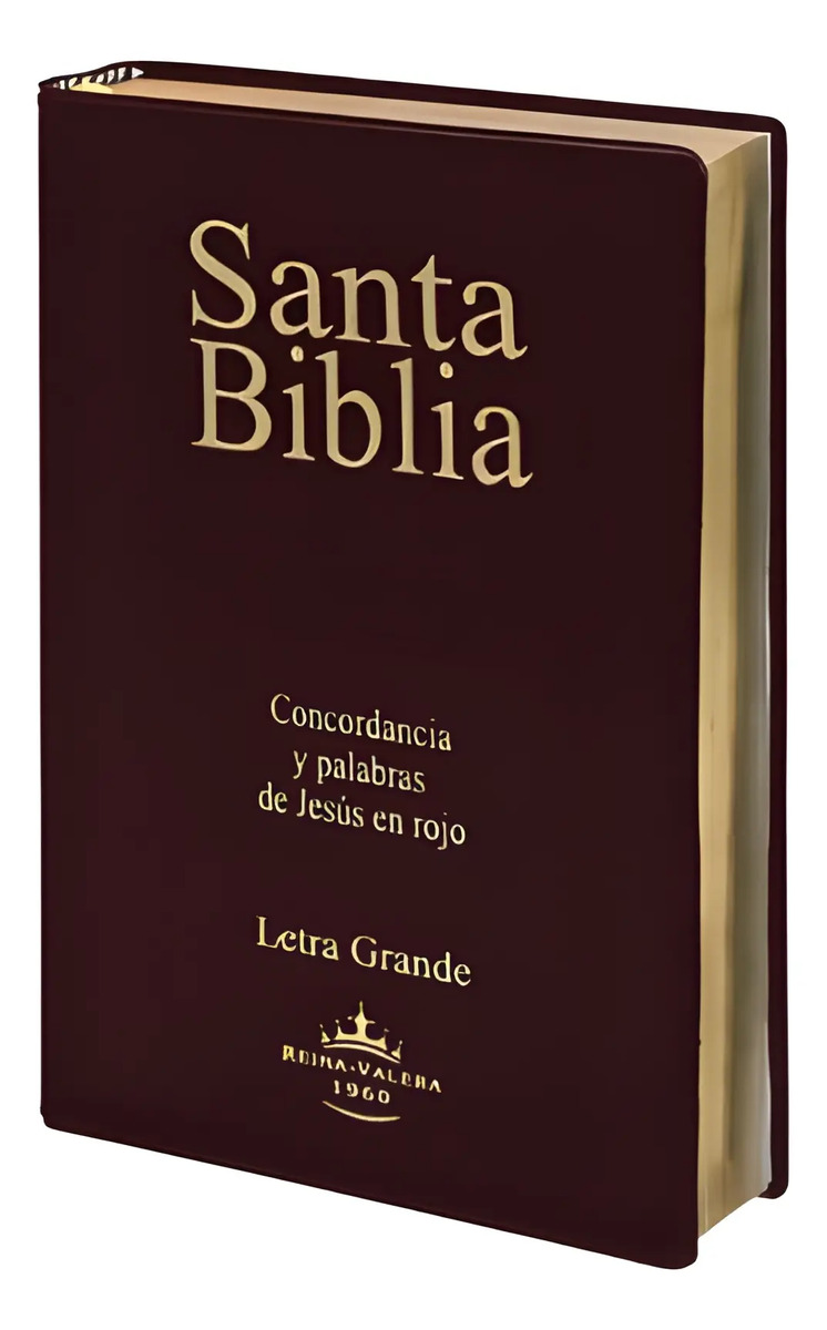 Biblia Rvr 1960 Letra Grande Con Canto Dorado Y Referencias