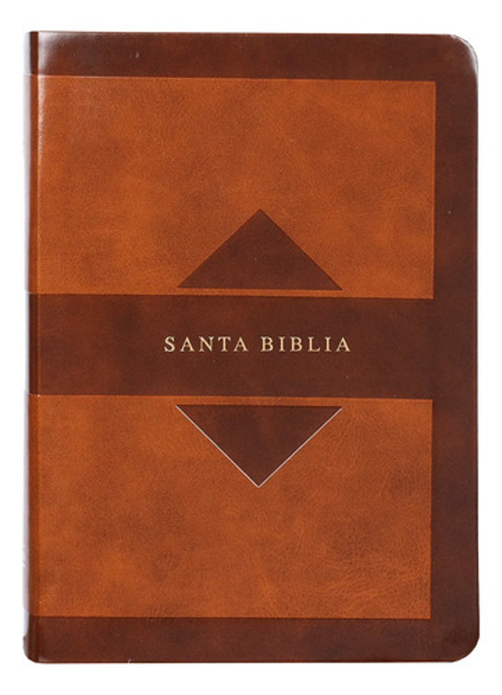 Santa Biblia Reina Valera 1960 Letra Grande Con Imágenes