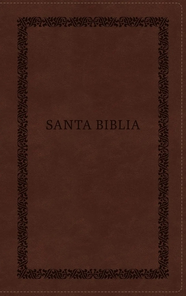 Biblia Rvr60: Letra Grande, Imágenes De Tierra Santa, Café