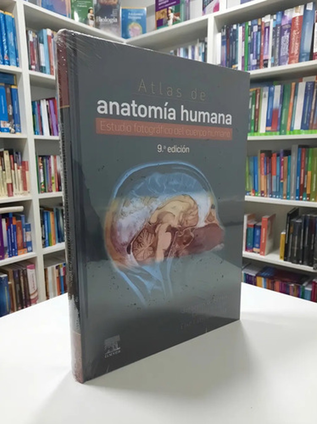 Rohen Yokochi Atlas De Anatomía Humana 9 Ed S