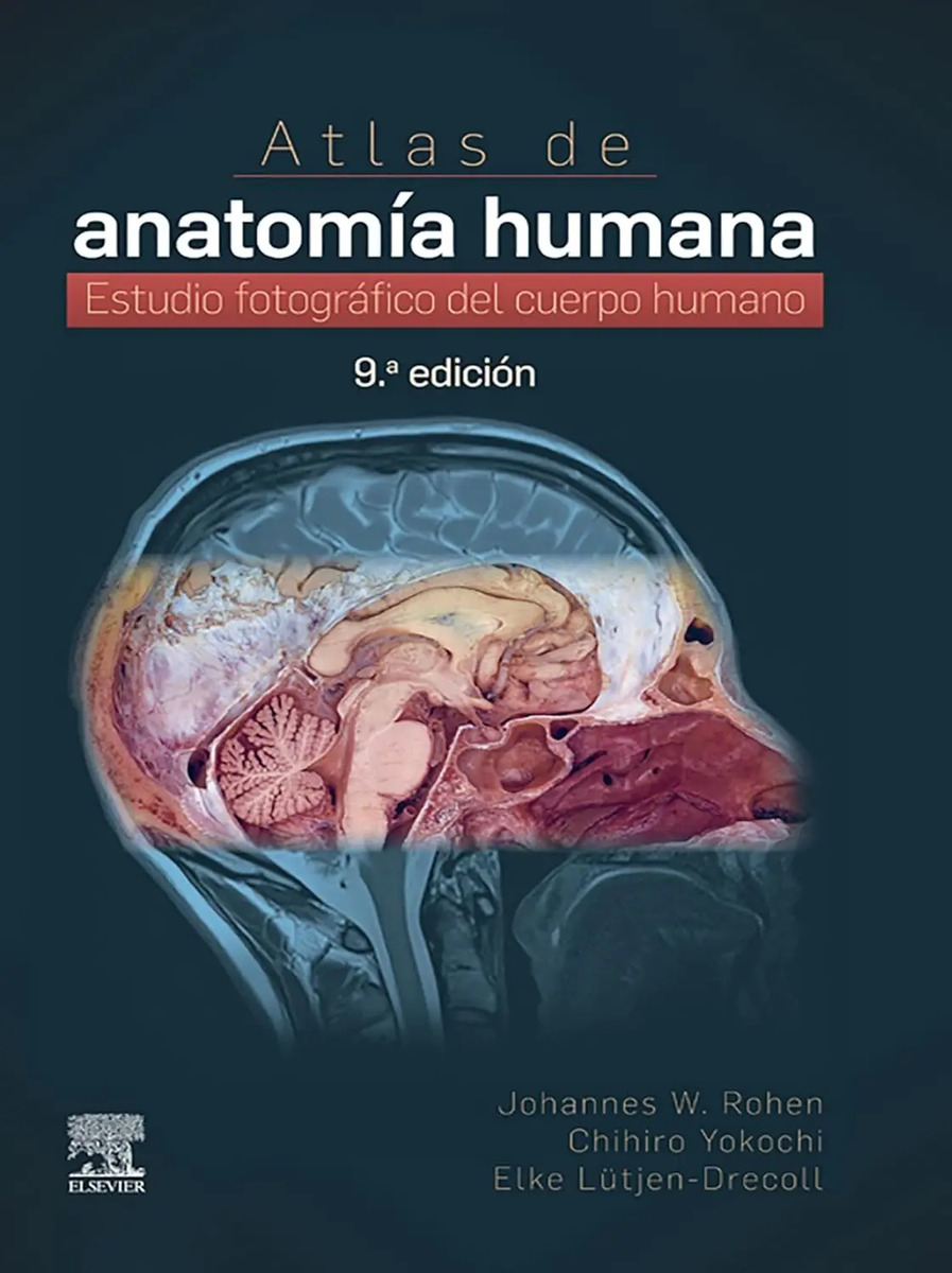Atlas De Anatomía Humana Rohen Yokochi 9 Edición Medicina