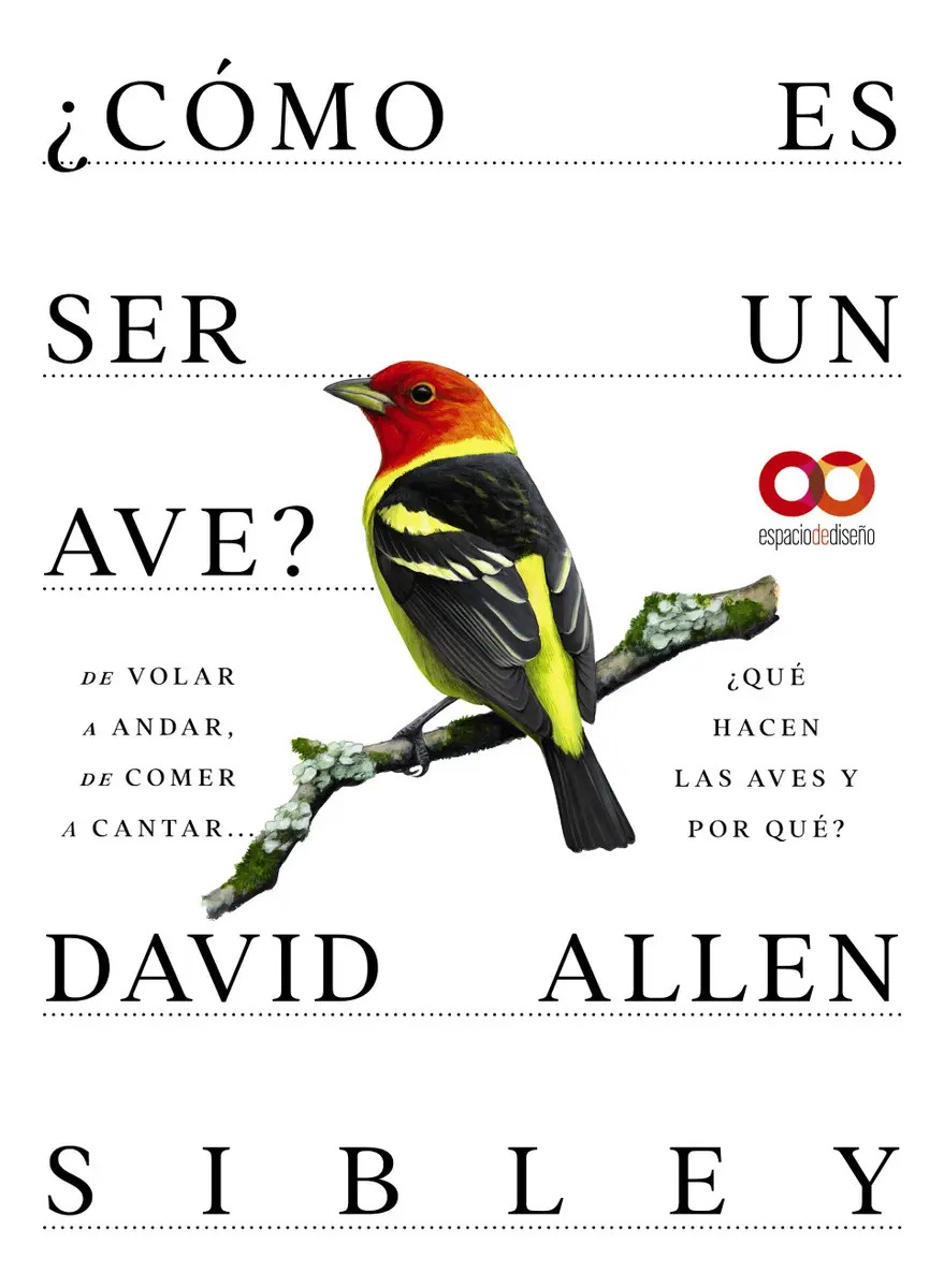 ¿cómo Es Ser un Ave? de Volar a Anidar