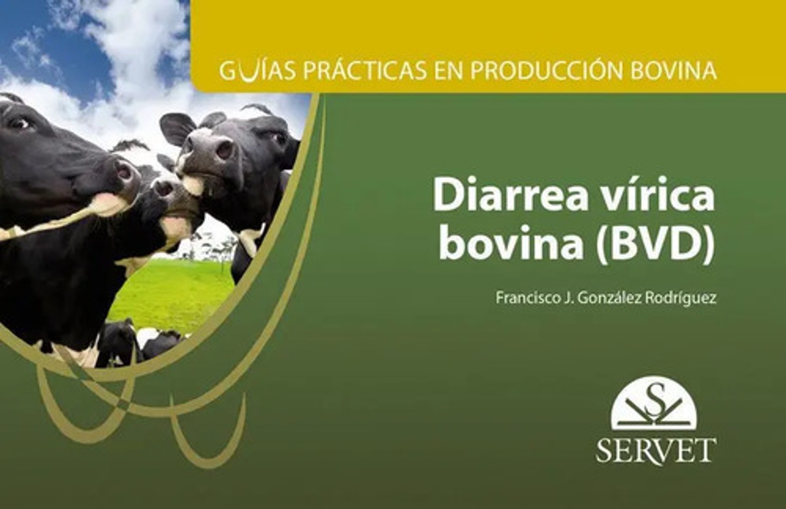 Guías Prácticas En Producción Bovina. Diarrea Vírica Bovina (bvd), De González Rodríguez, Francisco J.. Editorial Edra, Tapa Blanda En Español