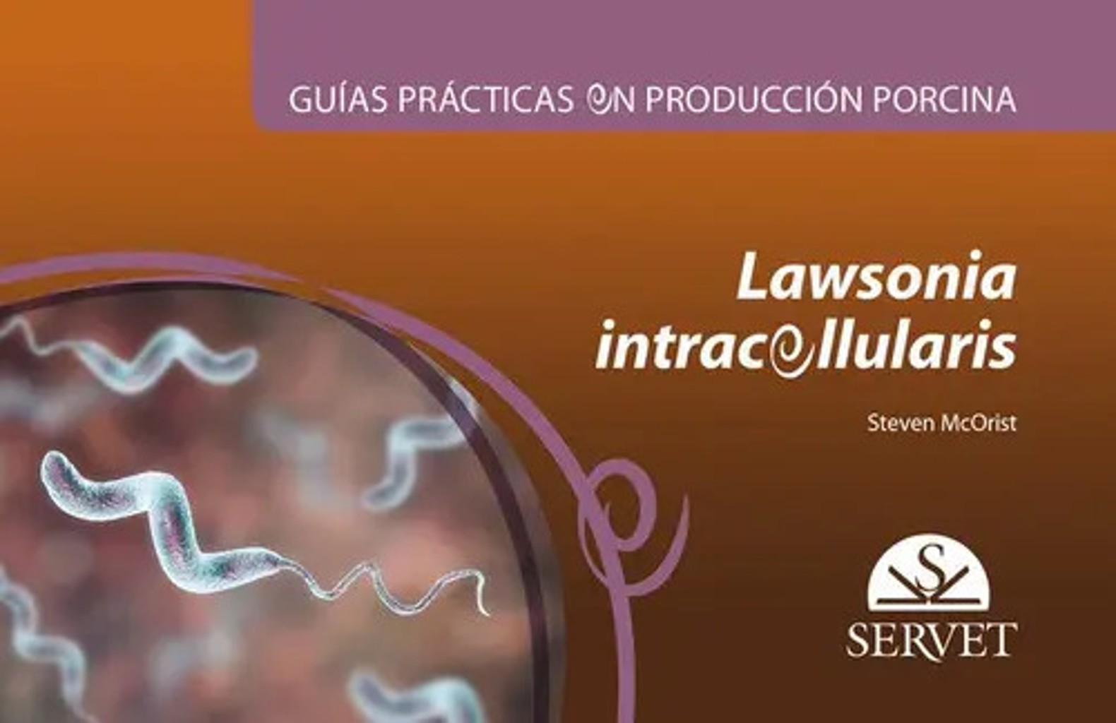 Guías Prácticas En Producción Porcina. Lawsonia Intracellularis, De Mcorist, Steven. Editorial Servet, Tapa Blanda En Español