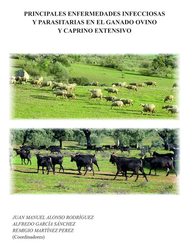 Principales Enfermedades Infecciosa Parasitaria Ganado Ovino