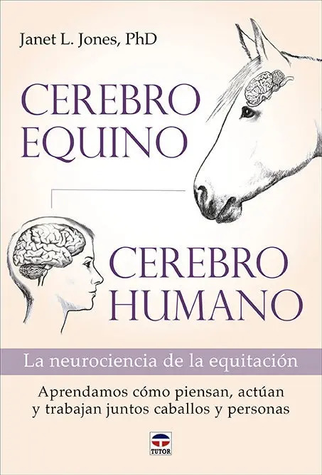 Cerebro Equino Cerebro Humano Neurociencia Caballos